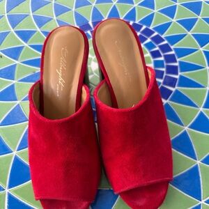 Red slip on shoe in suede worn couple times